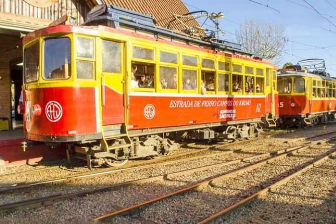 Town Of Campos Do Jordão: The Brazilian Switzerland In A Full Day Private Tour - Transportation and Pickup Arrangements