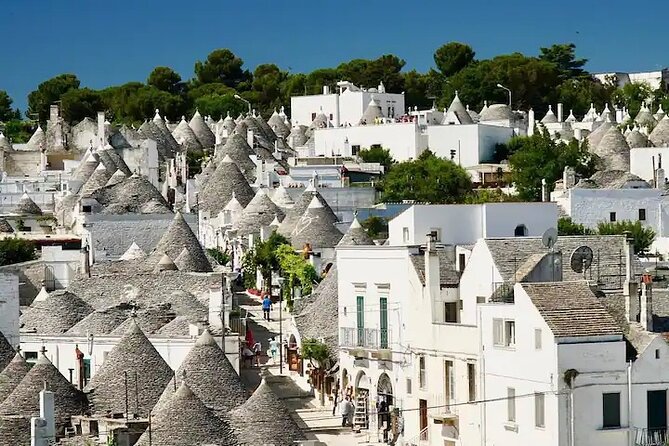 Town of Puglia Private Day Tour - Rating and Price