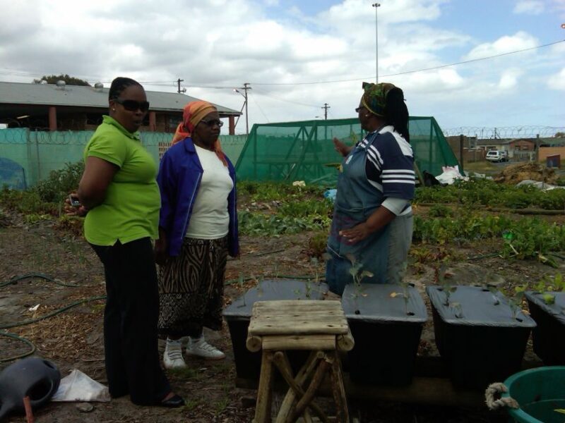 Township Eco Tour - Inclusions