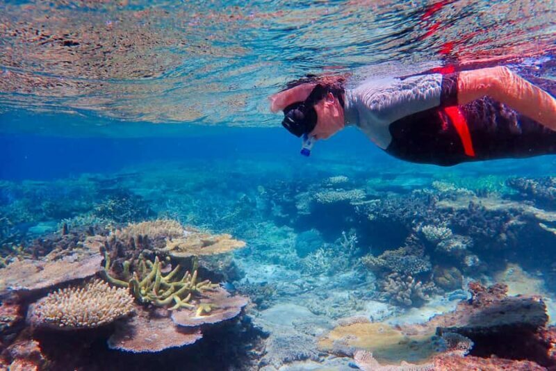 Townsville: Great Barrier Reef and MOUA Snorkeling Day Tour - An In-Depth Look at the Tour