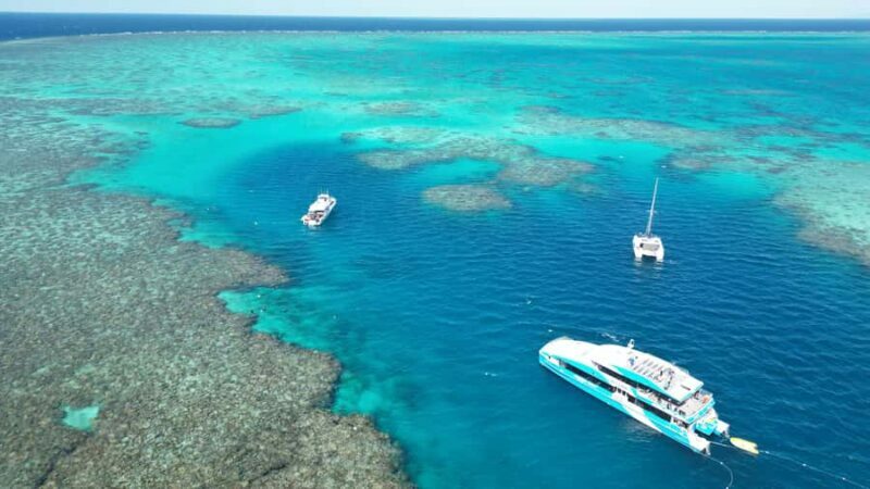 Townsville: Great Barrier Reef and MOUA Snorkeling Day Tour - The Value of This Experience