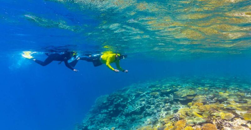 Townsville & Magnetic Island: MOUA & Great Barrier Reef Trip - Key Points