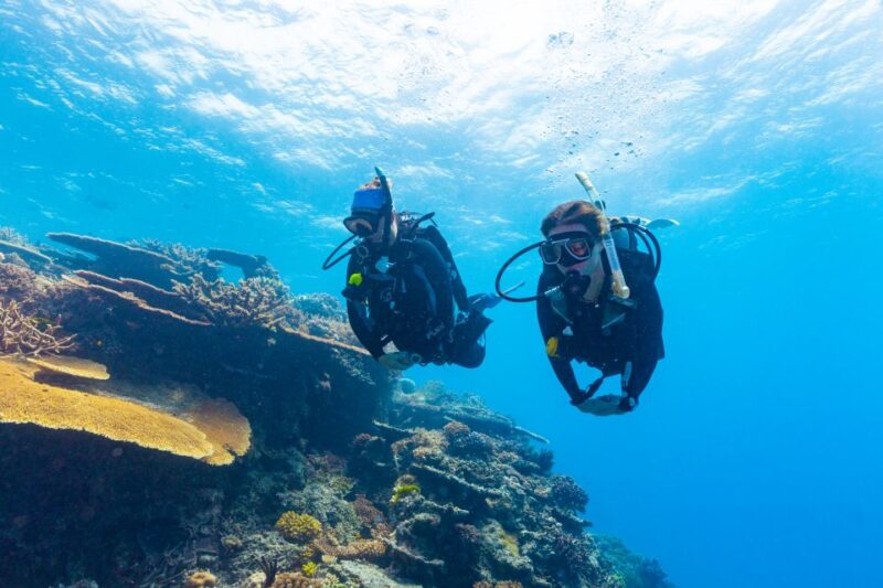 Townsville & Magnetic Island: MOUA & Great Barrier Reef Trip - What to Expect