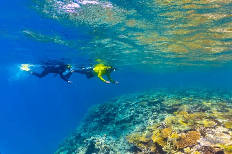 Townsville & Magnetic Island: MOUA & Reef Snorkel Experience - Practical Details and What to Expect