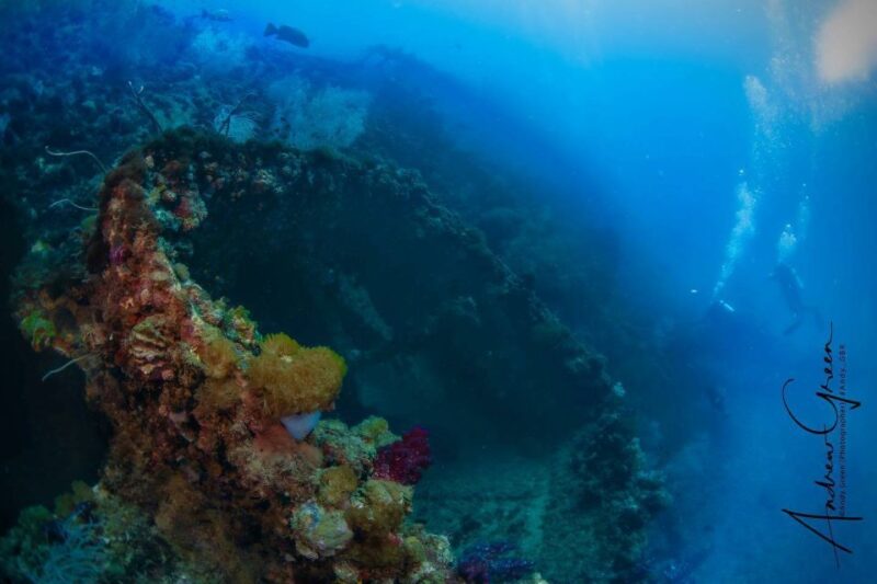 Townsville or Magnetic Island: Yongala Wreck Dive Day Trip - Key Points