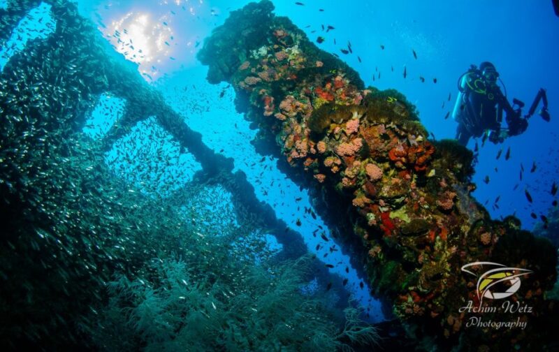 Townsville or Magnetic Island: Yongala Wreck Dive Day Trip - Listening to Yongala History