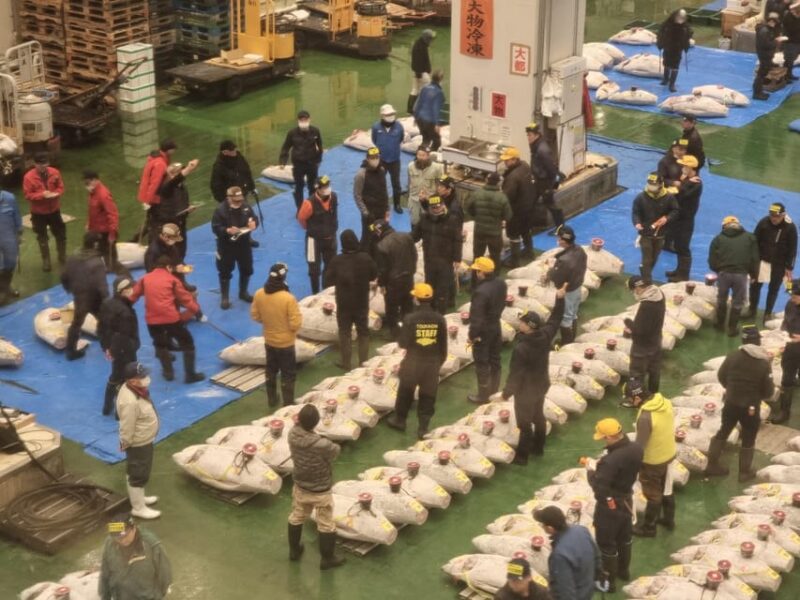 Toyosu Fish Market Tuna Auction With Fresh Seafood Buffet - Key Points