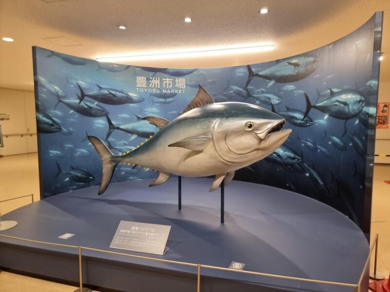 Toyosu Fish Market Tuna Auction With Fresh Seafood Buffet - Booking and Cancellation Policies