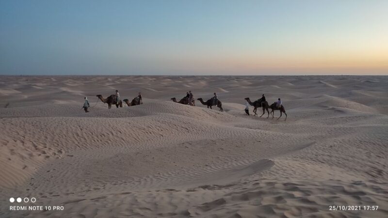 Tozeur: 2-Day Desert Overnight Stay in a Tent & Camel Trek - Key Points