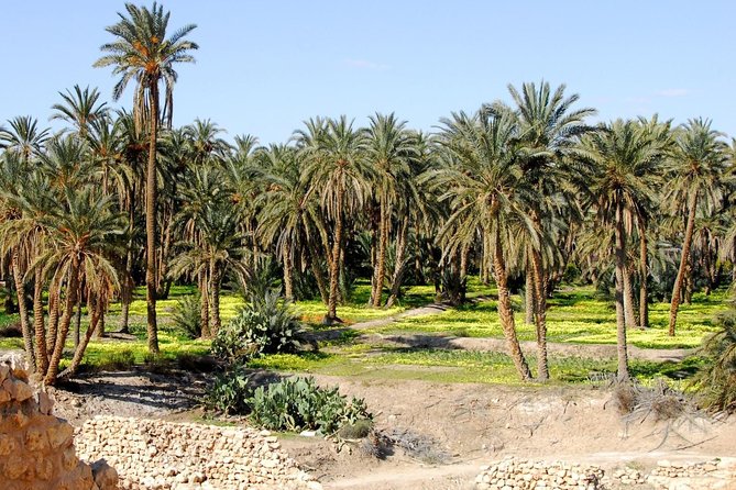 Tozeur and the Mountain Oasis - Experience the Desert