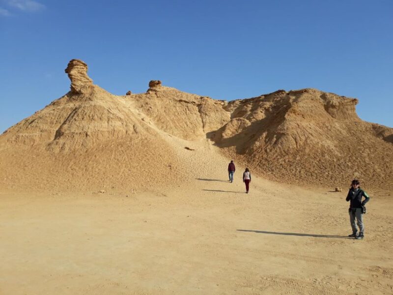 Tozeur: Chebika, Tamerza, Mides and Star Wars Day-Trip - Key Points