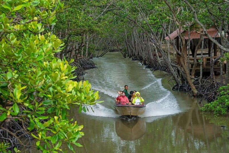 TP HCM: EXPLORE CAN GIO MANGROVE AND MONKEY ISLAND - Highlights and Activities