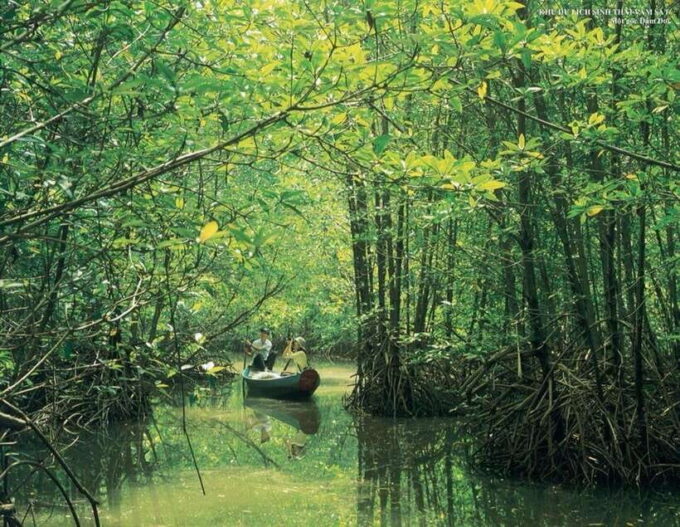 TP HCM: EXPLORE CAN GIO MANGROVE AND MONKEY ISLAND - Local Cuisine and Fish Market