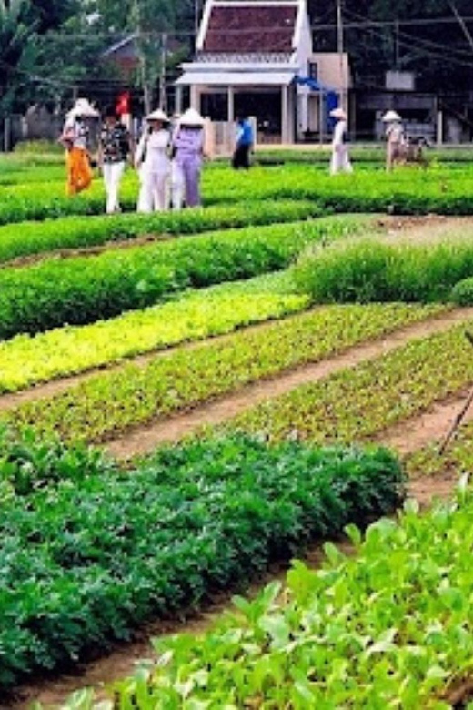Tra Que Village Vegetable Farm Experience by Bike - Local Interaction and Experience