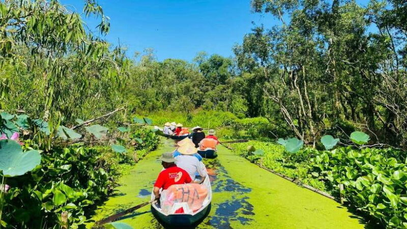 Tra Su Forest Full Day Tour From Can Tho City - Tour Overview and Pricing