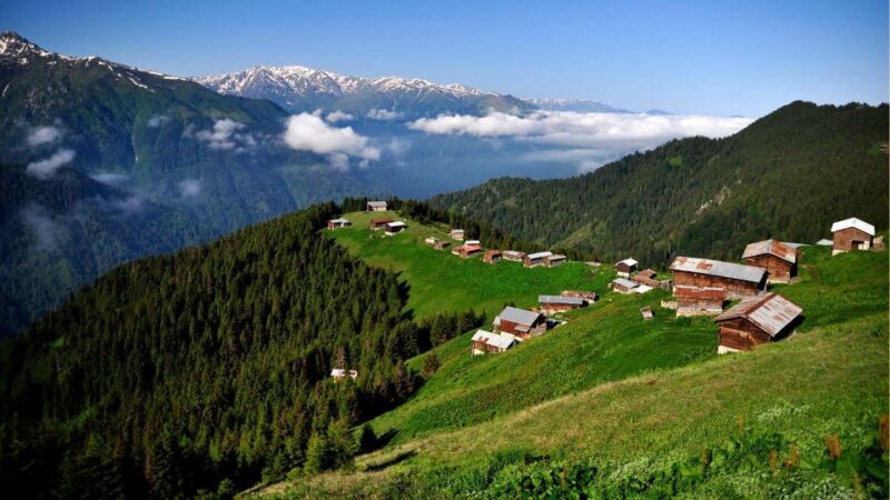 Trabzon: Ayder Highland Mountains Day Trip With Lunch - Trip Overview and Pricing