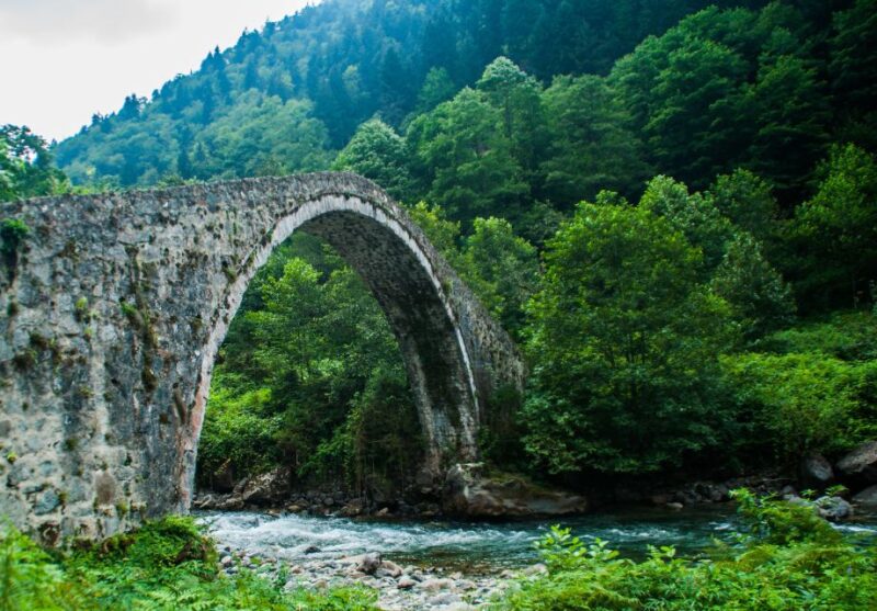 Trabzon: Ayder Highland Mountains Day Trip With Lunch - Inclusions and Accessibility