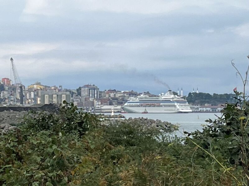 Trabzon: Guided City Tour With Tea Factory Visit and Tasting - Itinerary Highlights