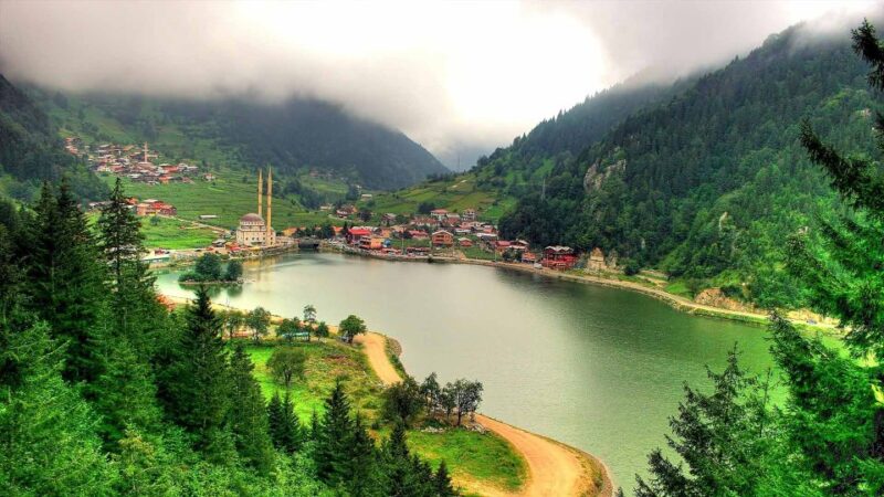 Trabzon: Uzungöl Group Tour, Explore The Nature & Taste Tea - Tour Inclusions