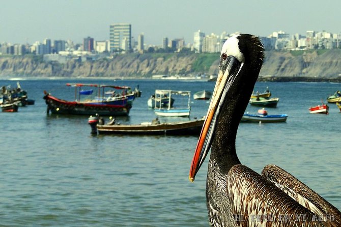 Traditional and Indigenous Markets of Lima - Exploring Traditional Markets