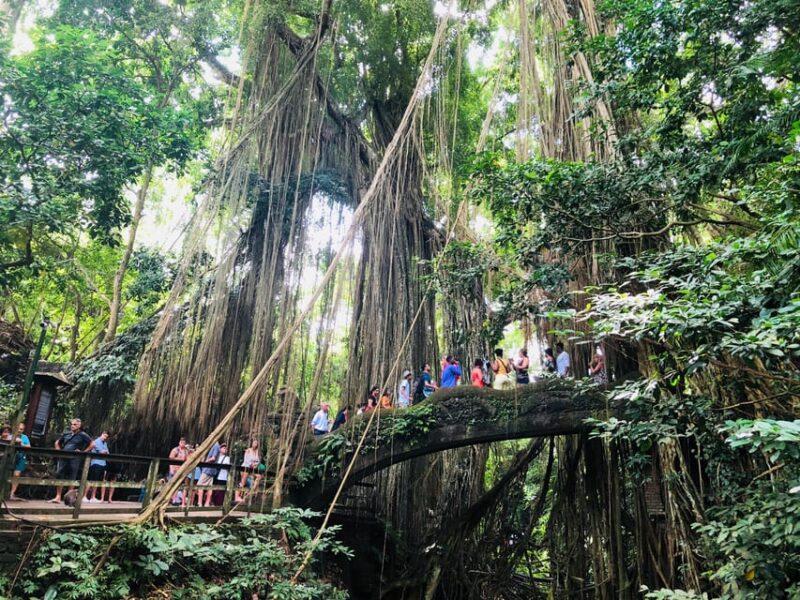 Traditional Bali Art and Shopping Tour in Ubud - Key Points