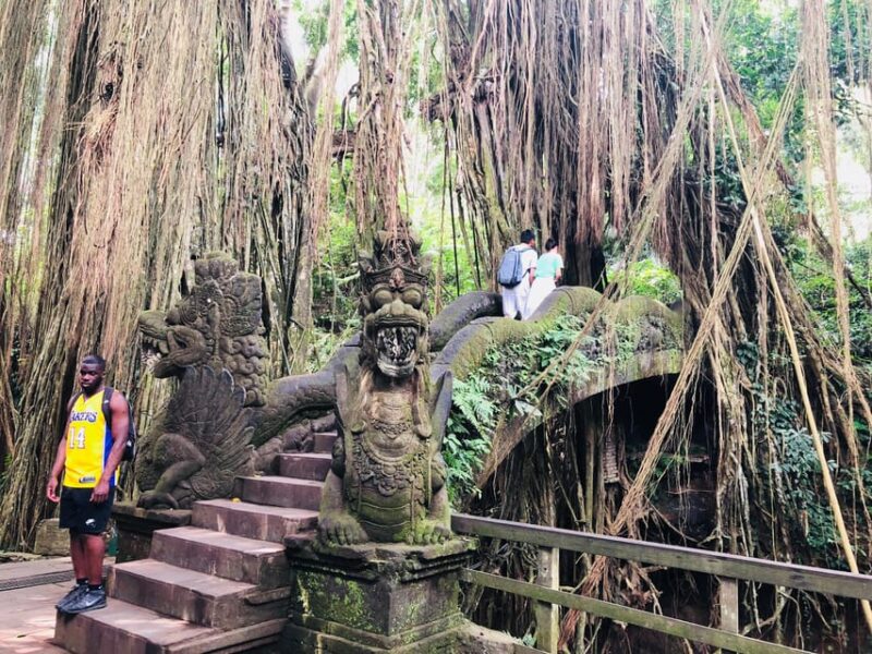 Traditional Bali Art and Shopping Tour in Ubud - Itinerary Highlights