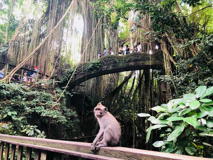 Traditional Bali Art and Shopping Tour in Ubud - Shopping and Cultural Experiences
