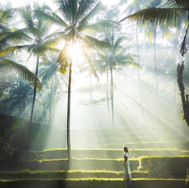 Traditional Bali Art and Shopping Tour in Ubud - Luwak Coffee Plantation Tour