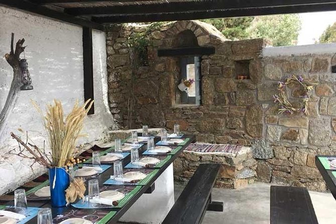 Traditional Barbecue Experience at Traditional Farm in Mykonos - Farming Tradition and Seasonal Produce