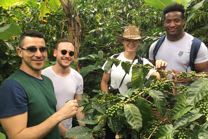 Traditional Bogotá Coffee Tour - Key Points