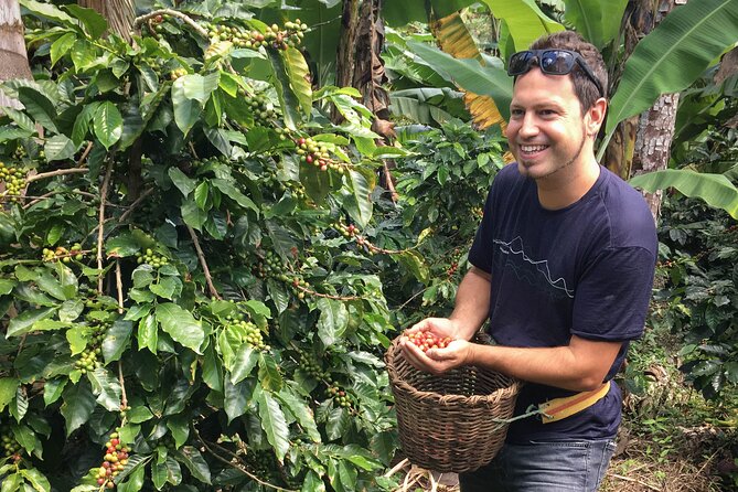 Traditional Bogotá Coffee Tour - Harvesting Experience