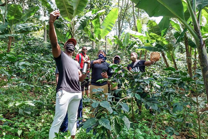 Traditional Bogotá Coffee Tour - Coffee Tasting Sessions