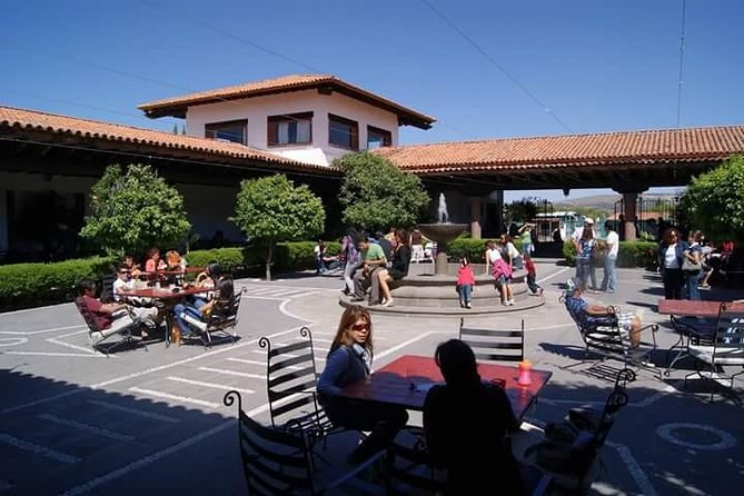 Traditional Cheese and Wine Tour in English, Leaving Querétaro - Health and Safety Information