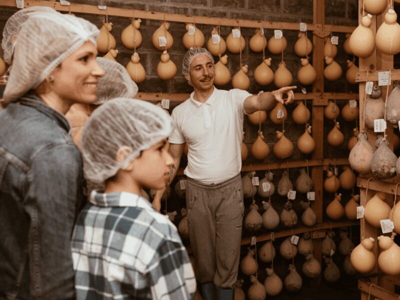 Traditional Cheese Factory Visit With Tasting Near Isernia - Key Points