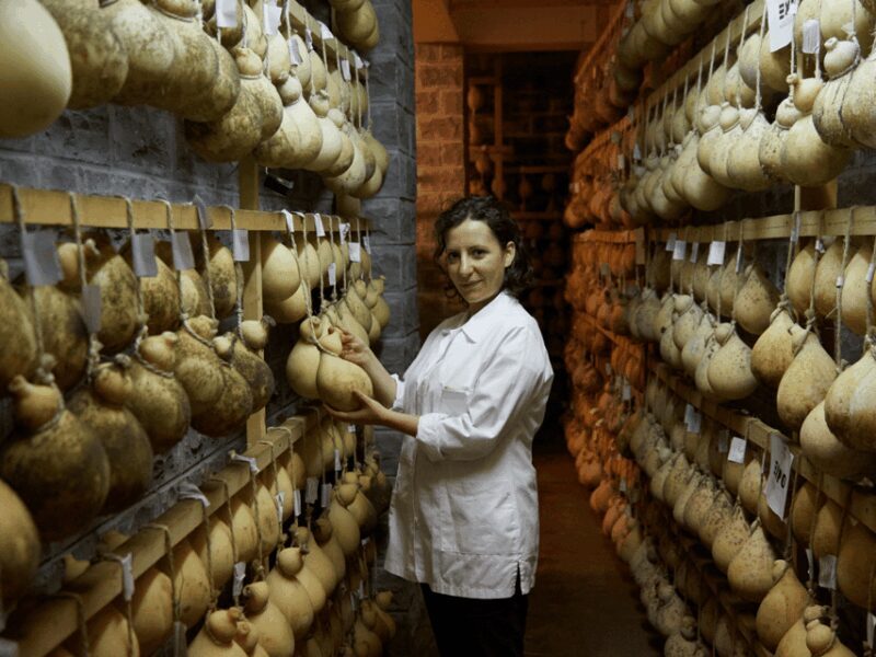 Traditional Cheese Factory Visit With Tasting Near Isernia - Overview of the Cheese Factory Experience
