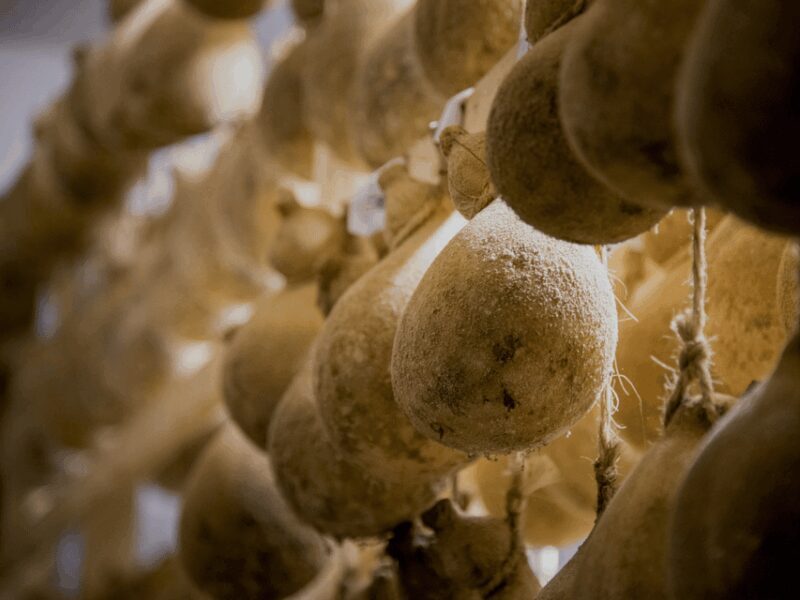 Traditional Cheese Factory Visit With Tasting Near Isernia - Cultural Significance of Transhumance