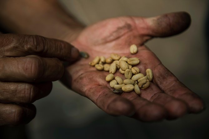 Traditional Coffee Farm Experience at Hacienda Coloma From Bogotá - Pricing and Cancellation Policy