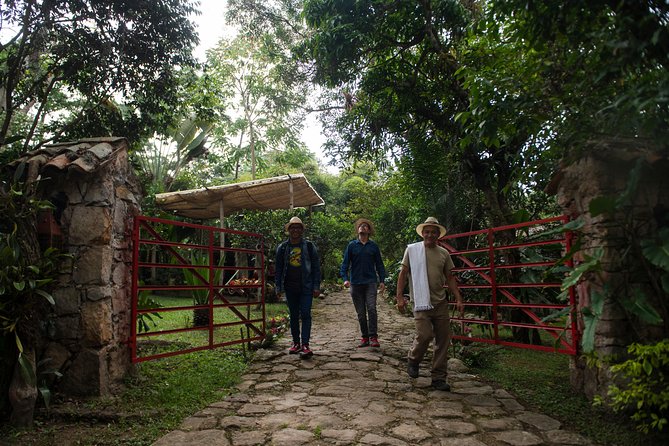 Traditional Coffee Farm Experience at Hacienda Coloma From Bogotá - Reviews and Ratings