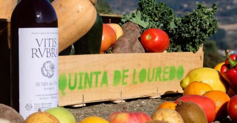 Traditional Cooking Class and Farm Tour in the Douro Valley - Culinary Highlights