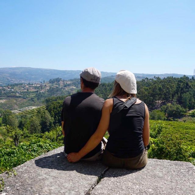Traditional Cooking Class and Farm Tour in the Douro Valley - Customer Testimonials
