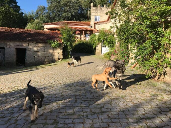 Traditional Cooking Class and Farm Tour in the Douro Valley - Frequently Asked Questions