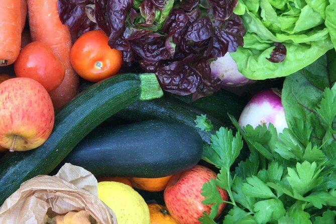 Traditional Cooking Class, Farm Tour & Lunch in the Douro Valley - Host and Hospitality