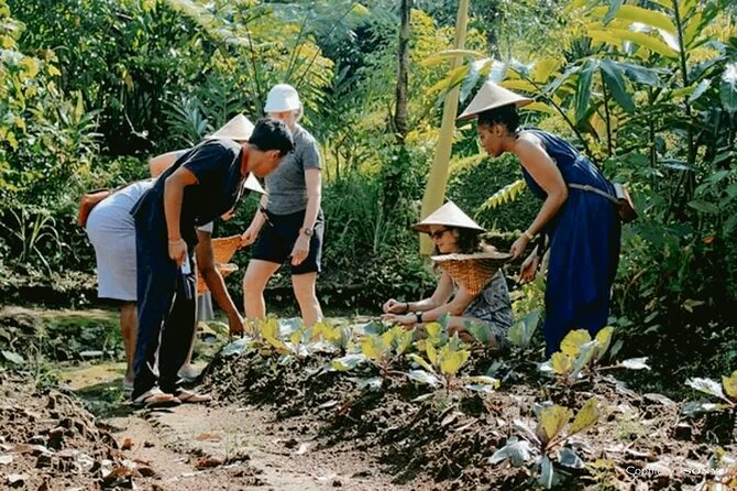 Traditional Cooking Class In Ubud With Local Balinese Family - Tour Considerations