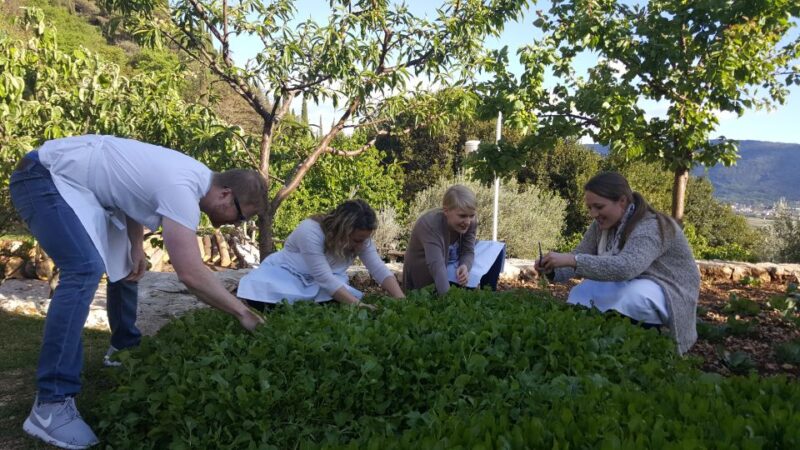 Traditional Dalmatian Cooking Class From Dubrovnik - Exploring Dalmatian Cuisine