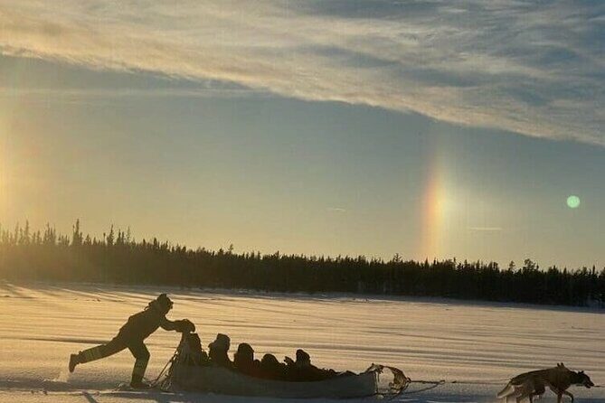 Traditional Dog Sledding Adventure in Yellowknife - The Sum Up
