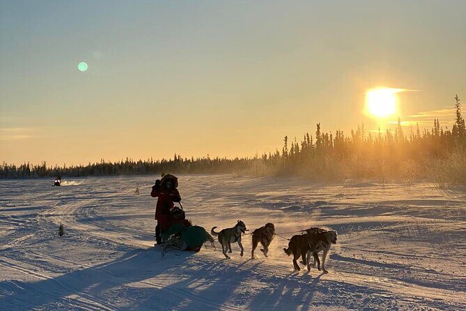 Traditional Dog Sledding Adventure in Yellowknife - FAQs