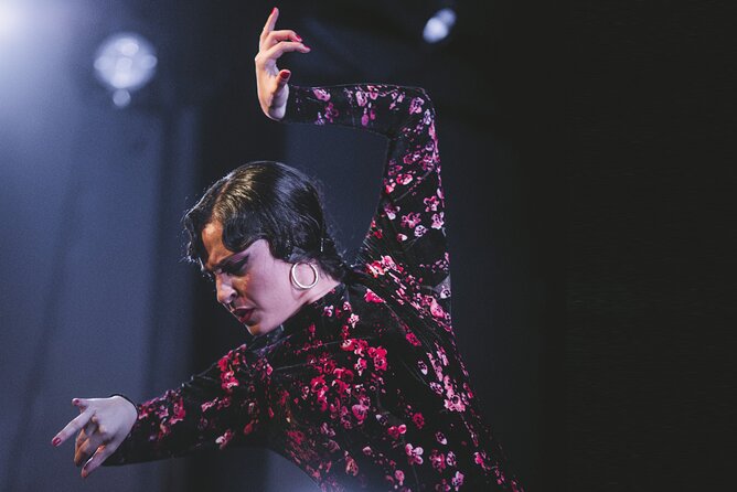 Traditional Flamenco Show at Tablao Casa Ana - Accessibility and Transportation Details