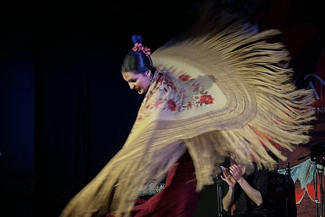 Traditional Flamenco Show at Tablao Casa Ana - Age Restrictions for the Show
