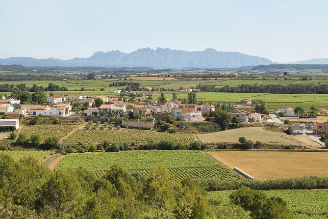 Traditional Food and Wine Small Group Tour From Barcelona - Winery Tour With Wine/Cava Tastings