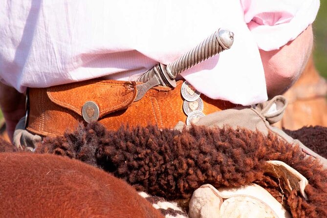 Traditional Gaucho Festival Full Day Tour From Buenos Aires - Key Points
